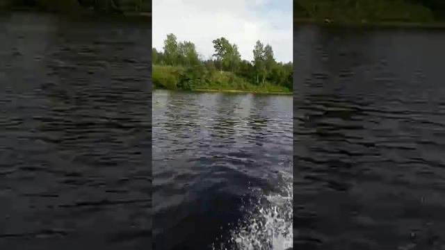 Первые 4 часа обкатки прошли. Hidea 9.8. Reef 335 смотреть онлайн