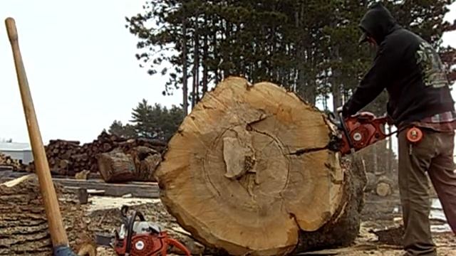 7900 Flush Cut смотреть онлайн