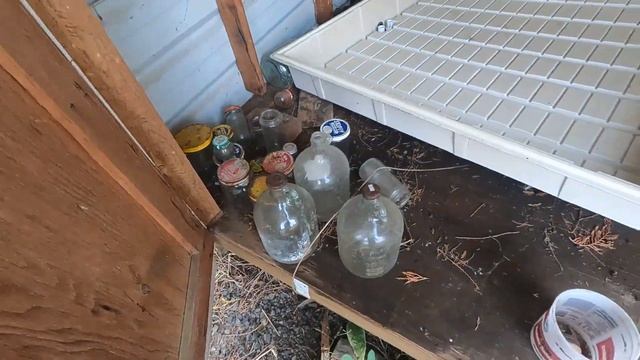 Long Forgotten Canning Shed Grandmas Abandoned House | DWU Quickie смотреть онлайн