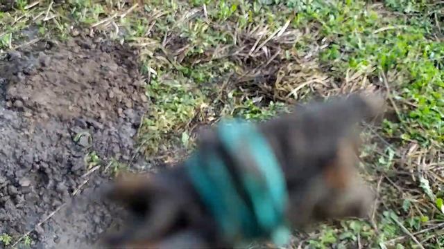 Detech Relic Striker - Скифский наконечник (тест в грунте)