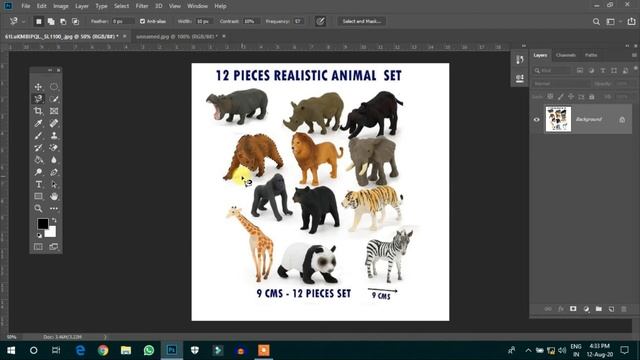 How To Use Lasso & Quick Selection Tool In Photoshop Cc Versions | Photoshop Tutorials Tamil