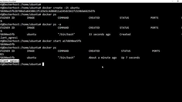 Docker Installation on Ubuntu machine and Docker Basic смотреть онлайн