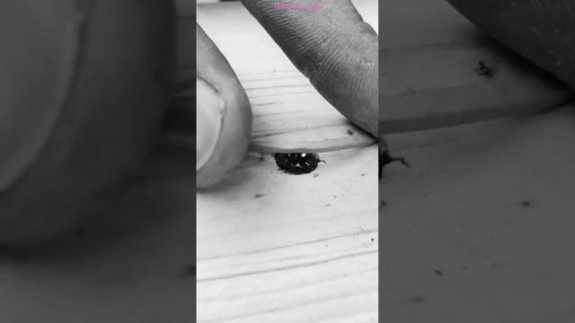 Лайфхак как открутить если прокручивается смотреть онлайн