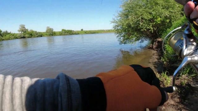 Ловля судака летом на джиг и воблеры, днём и ночью. Как поймать судака и окуня. Спиннинг на реке . смотреть онлайн