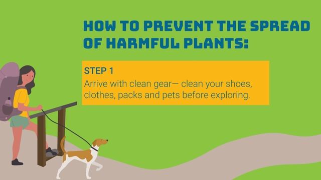 Tip #4: Play, Clean, Go! смотреть онлайн