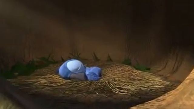 Oiseaux Du Brésil смотреть онлайн