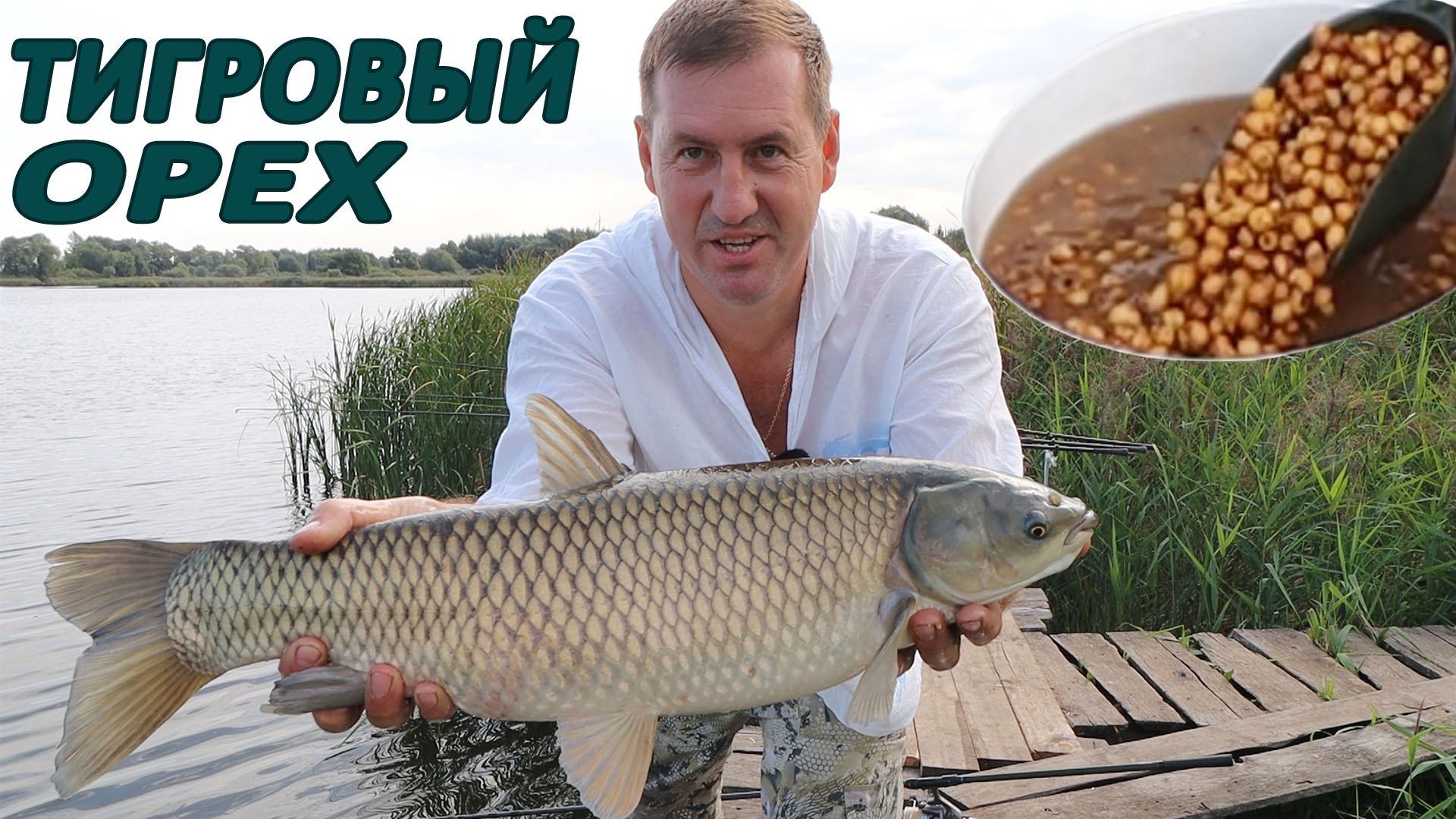 БЕЛЫЙ АМУР И КАРП ЛЮБЯТ ТИГРОВЫЙ ОРЕХ! смотреть онлайн