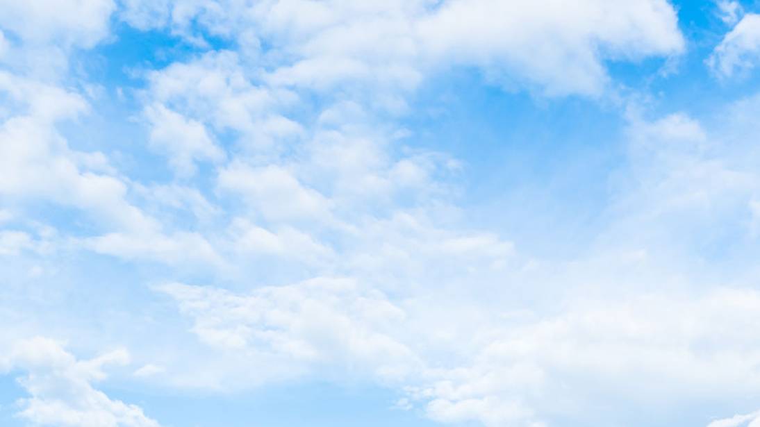 Мелитопольские голуби в Крыму. у Игоря в гостях... смотреть онлайн