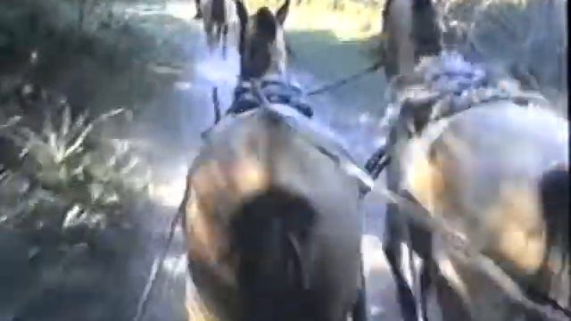 Estancias Argentinas - Muchas Islas - Parte 1 y 2 смотреть онлайн