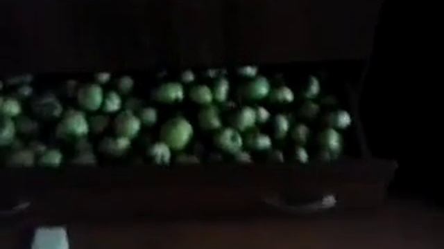 наш урожай помодор сорта валентина дикая роза солнечные волгоградские смотреть онлайн