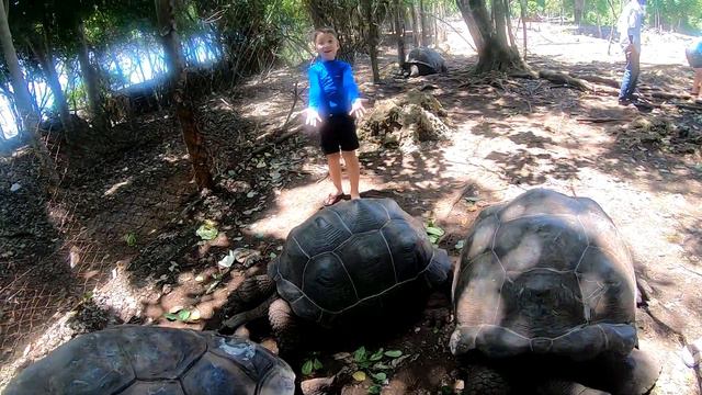 ЗАНЗИБАР 2021 смотреть онлайн