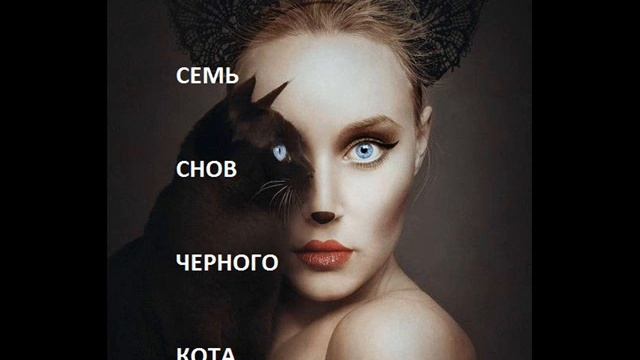 Семь снов черного кота смотреть онлайн