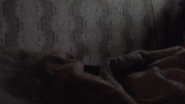 Собаки тише спать мишаете смотреть онлайн