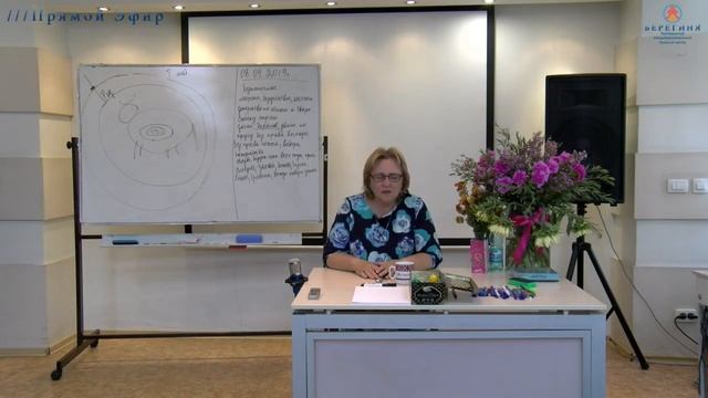 08.09.2019. Токарева Надежда. Обнуление результатов выборов. смотреть онлайн