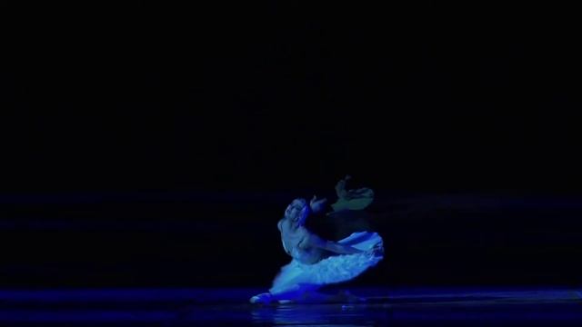 ЛЕБЕДЬ. Юлия МАХАЛИНА смотреть онлайн
