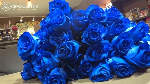 Обзор на букет синих роз (Эквадор) смотреть онлайн