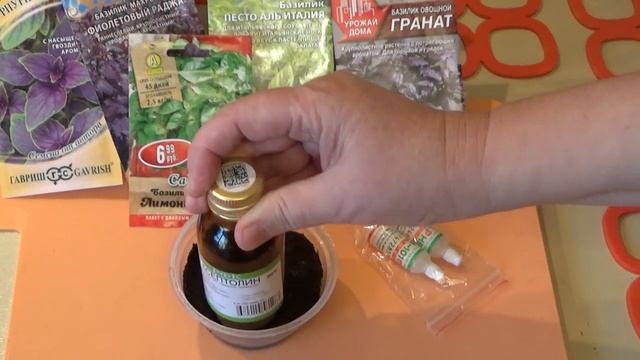 Овощной квартирник