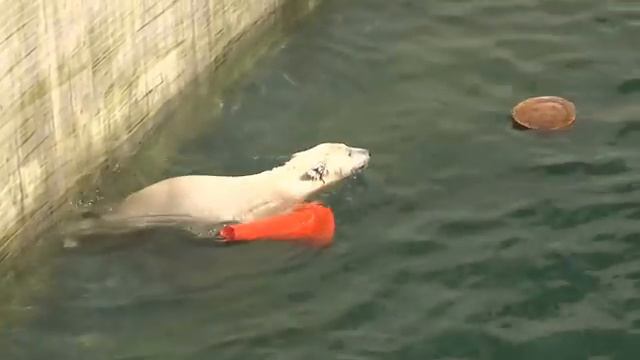 Маме - мороженое... А где цветы ребёнку?..))) смотреть онлайн