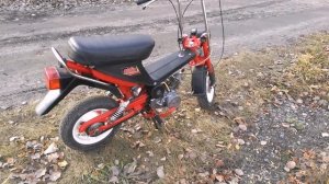 Мини мокик Стелла РМЗ 2.136