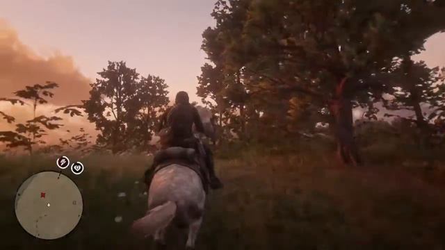 Sean Macguire Grave Location | Red Dead Redemption 2 смотреть онлайн