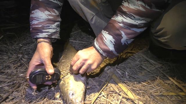 Рыбалка на сазана в конце февраля ,Тушиловка Средний канал. смотреть онлайн