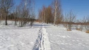 PCP Kuzey K90 5.5, новые пули Люман 5.5 -1.65 г. 55 метров.