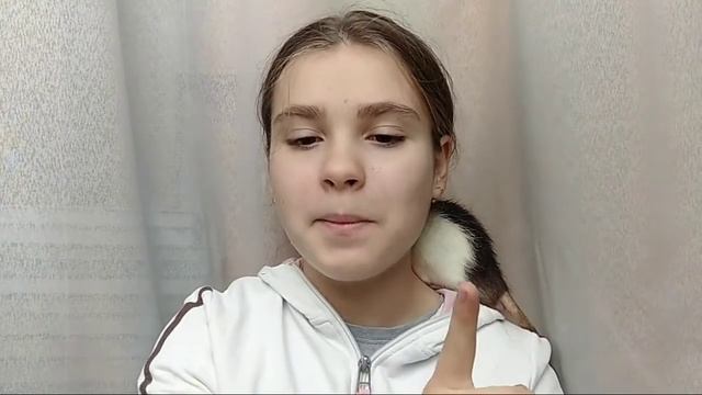Как себя вести в первый день с крысой? смотреть онлайн