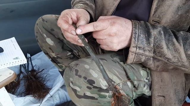 Строительные Решения