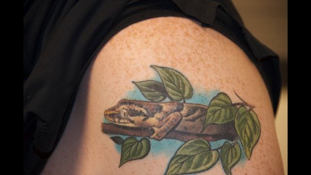 Lizard tattoo audio смотреть онлайн