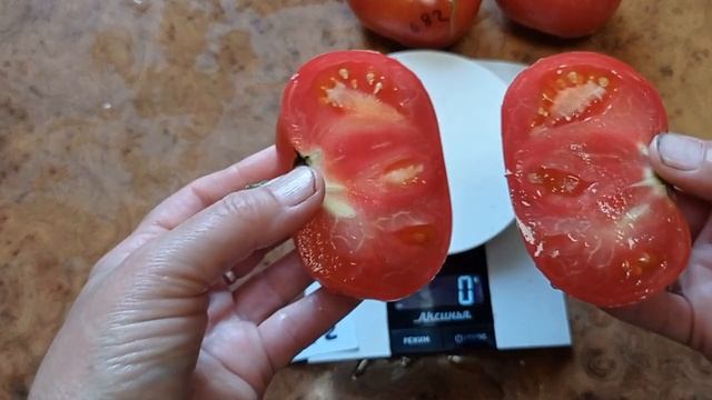 Томат Бурлак минусинский смотреть онлайн