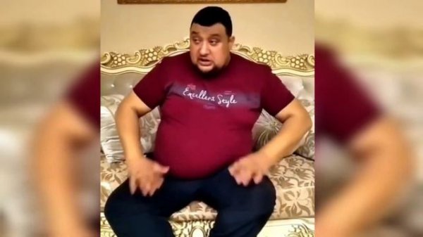 ВАСЯ ВИЛЕНОК