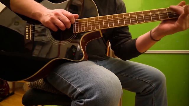 Струнодер 3.0 - WASHBURN WCG18CE