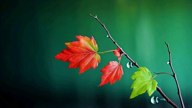 Точка выбора. Поиск своего пути. Размышления. смотреть онлайн