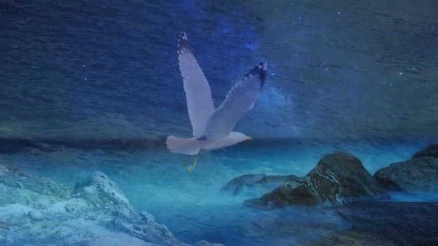 Синие фонтаны смотреть онлайн