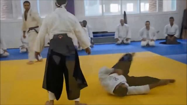 Aikido Iwama Ryu смотреть онлайн