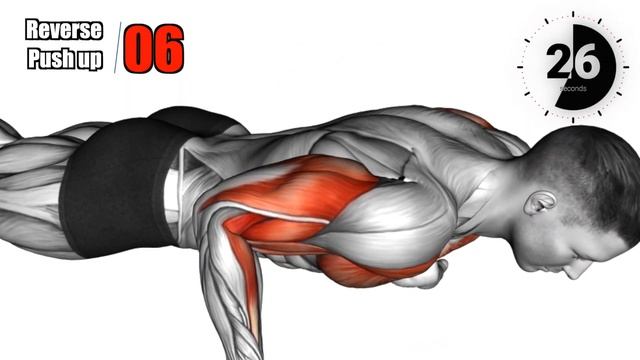 Best Triceps Exercises At Home ! No Weights