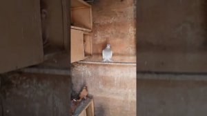 в гостях город Худжанд!!