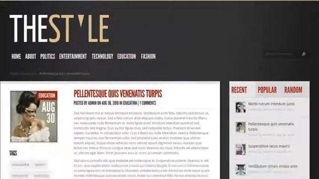 TheStyle WordPress Magazine Theme смотреть онлайн