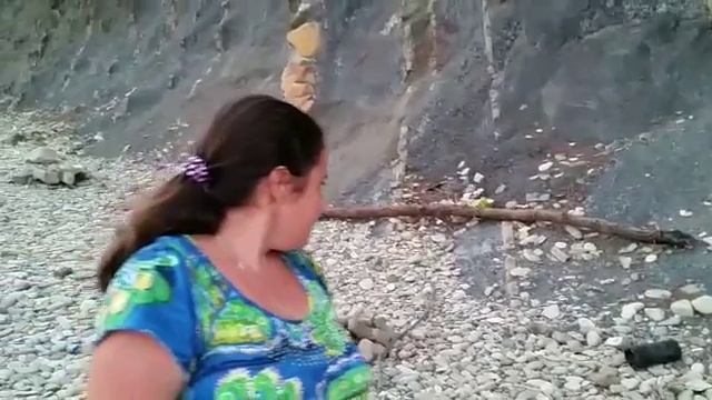 Чайка кушает арбуз. смотреть онлайн