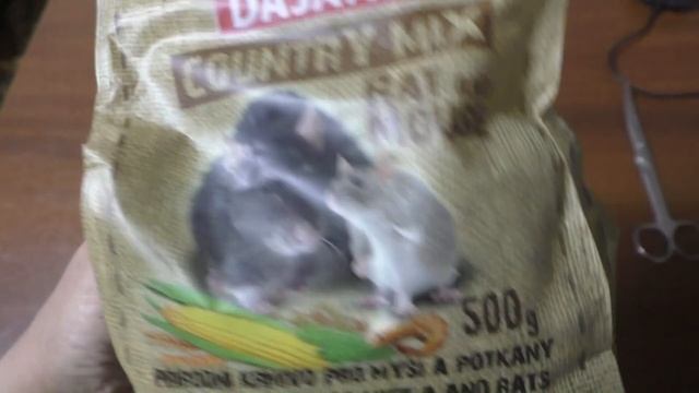 Обзор кормов для грызунов. Чем кормить грызунов? смотреть онлайн