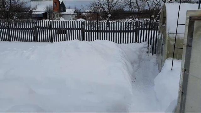 65. Теплица под снегом. Баня. 16 января..mp4 смотреть онлайн