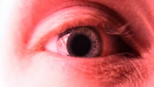 Elvis Presley - Elvis 2000 Best Of The King (V2)