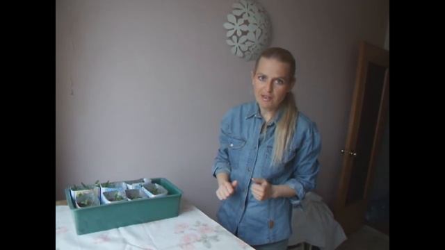 Как увеличить подоконник для размещения рассады смотреть онлайн