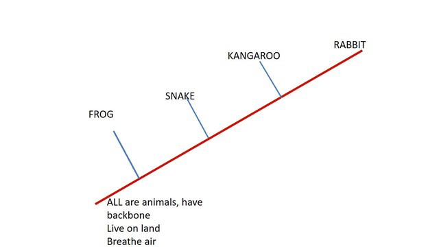 cladistics смотреть онлайн