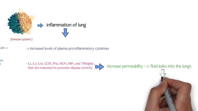 corona virus | covid -19 | cause , structure , pathophysiology , symptoms , treatment , prevention смотреть онлайн