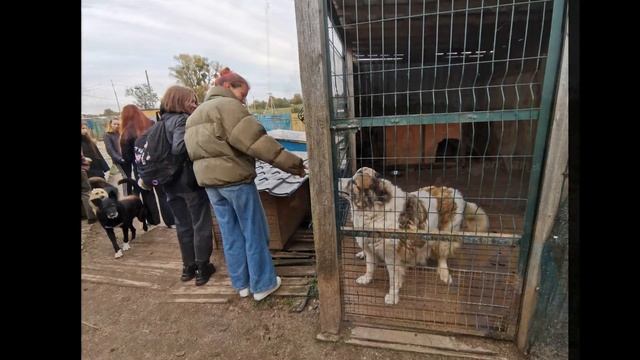 Акция "Поможем хвостикам" смотреть онлайн