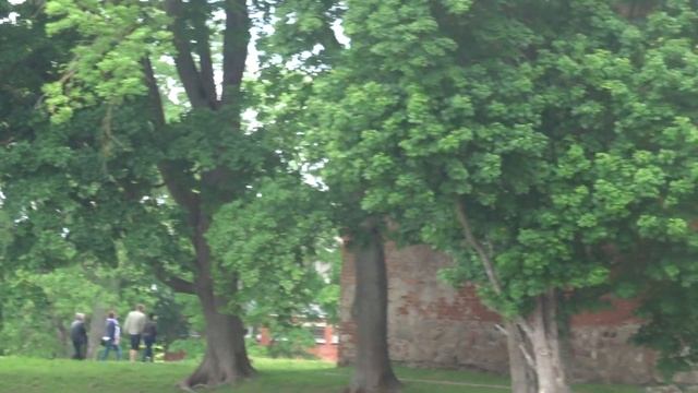 Гробиня Викинги 2019 смотреть онлайн