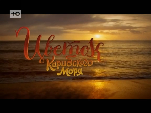 120 ФИНАЛ смотреть онлайн