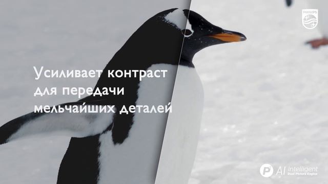 Процессор Philips P5 смотреть онлайн