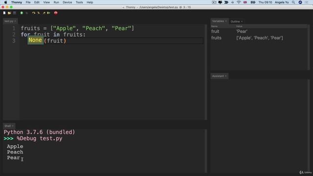 Day 5 - Python Loops - 2 Using the for loop with Python Lists смотреть онлайн